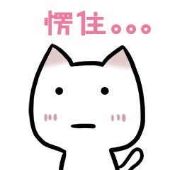 买一只龙猫在家好养吗,给爷爷买一只猫