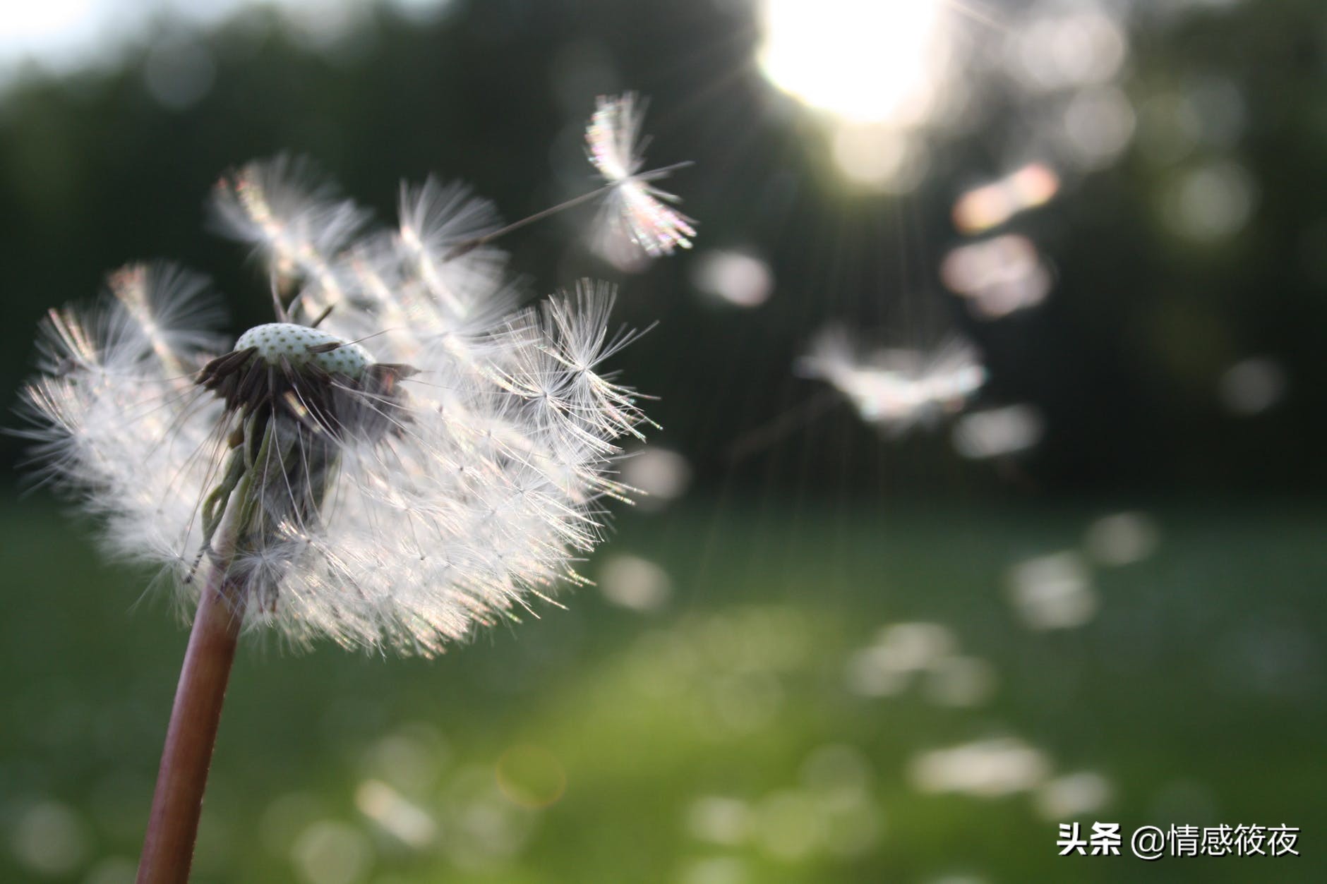 邻居关系怎么修复,与邻居发生矛盾如何处理