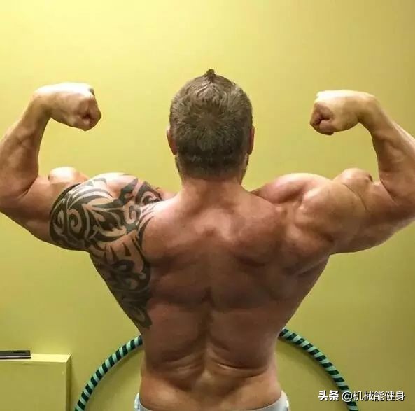 健身美背小背心一体式推荐,在健身房想练腿练哪些