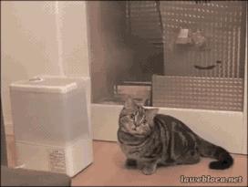 加湿器使用不当会得肺炎吗,加湿器使用不当比吸雾霾还可怕