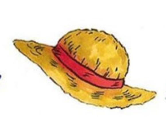 海贼王中出现的帽子,海贼王燃烧意志等级可以继承吗