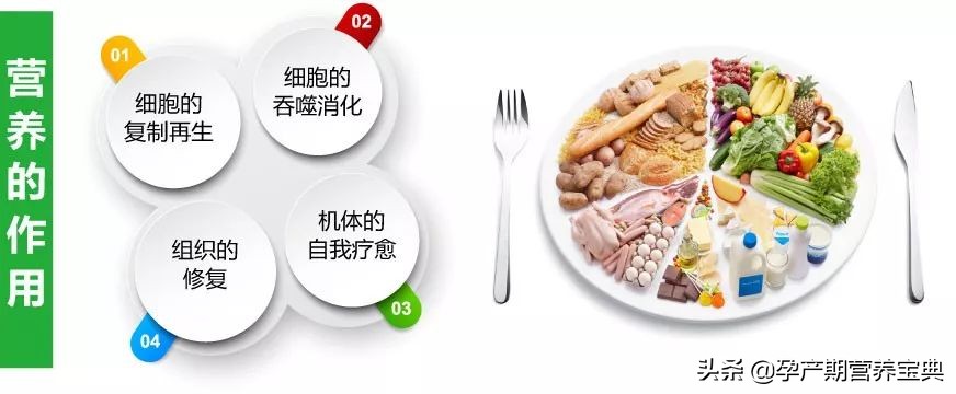 医学发展的大势所趋——营养治疗