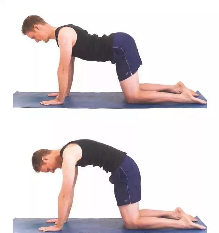 自我改善脊柱弯曲,自我改善脊柱侧弯