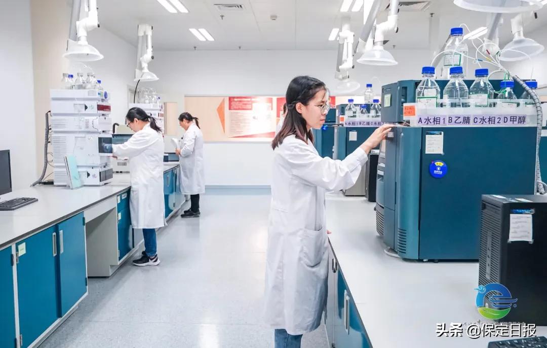 聚力赋能创新突破,聚力科技创新赋能提质增效