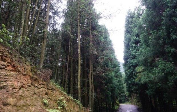 重庆万州区有什么好玩的地方,重庆万州有什么好玩的地方