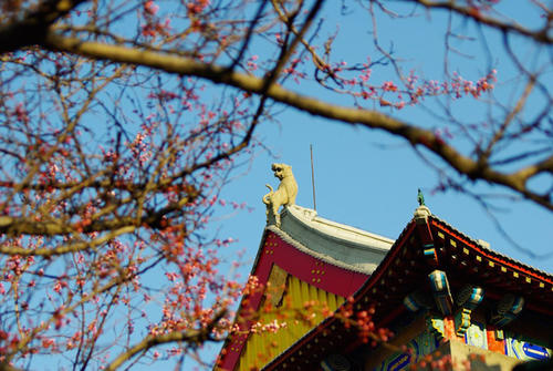 黑龙江最美大学排行榜,哈尔滨工程大学最美的校园