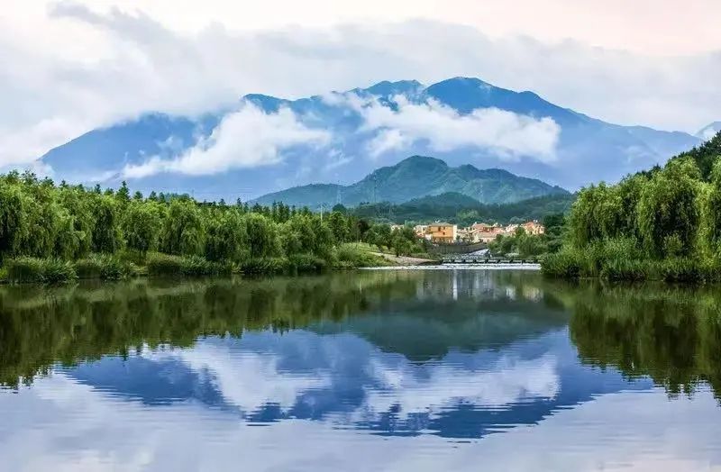 百家发布追寻奋斗百年路｜不能忘却的纪念　不断前进的柯城