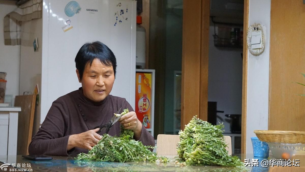 疫情下的城市生活纪录片,西安疫情每天新增记录图