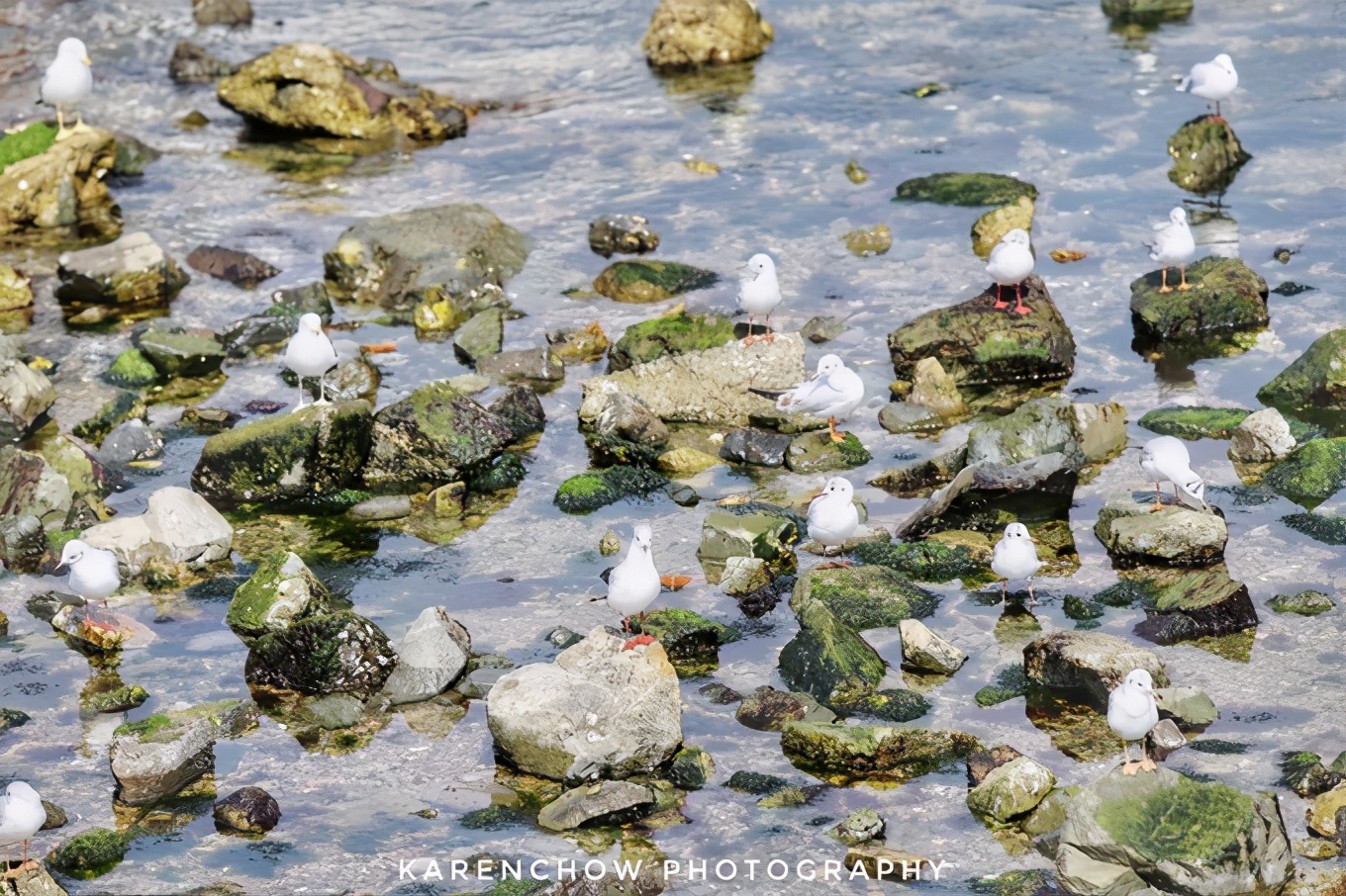 韩国安东美食,韩国釜山必游胜地