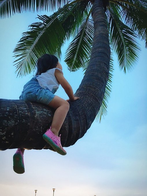 带你踏上三亚之旅,跟着我的脚步去旅行歌曲
