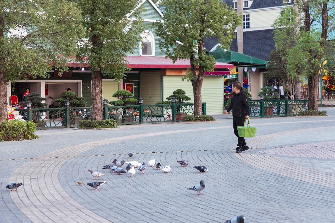深圳10大旅游好去处,深圳盐田区周末休闲浪漫好去处