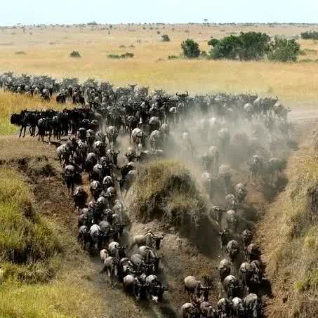 什么是非洲？这12处惊艳之地告诉你