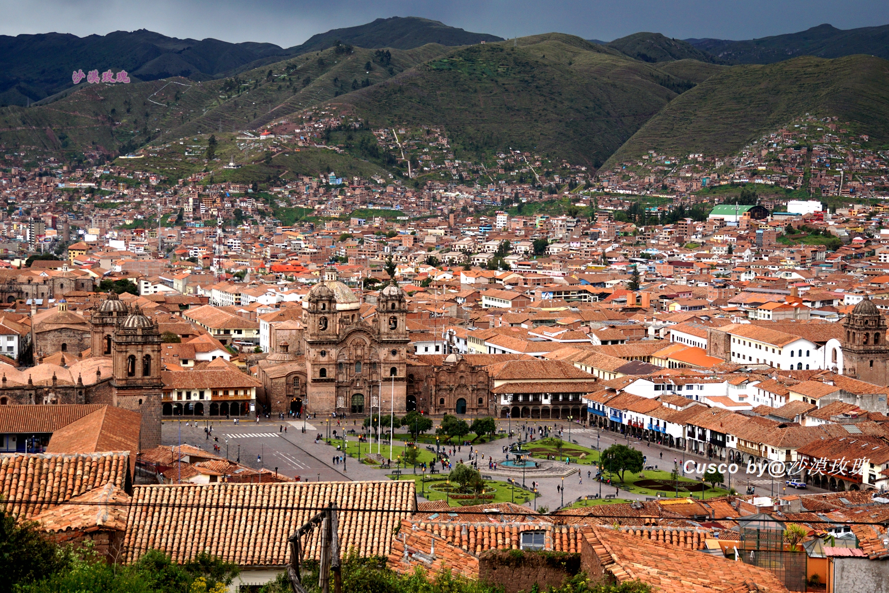 秘鲁国菜塞维切图片,秘鲁国菜十大名菜品尝
