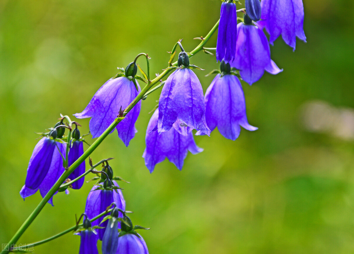 唯美句子浪漫清新抖音短句,小清新阳光唯美短句子抖音
