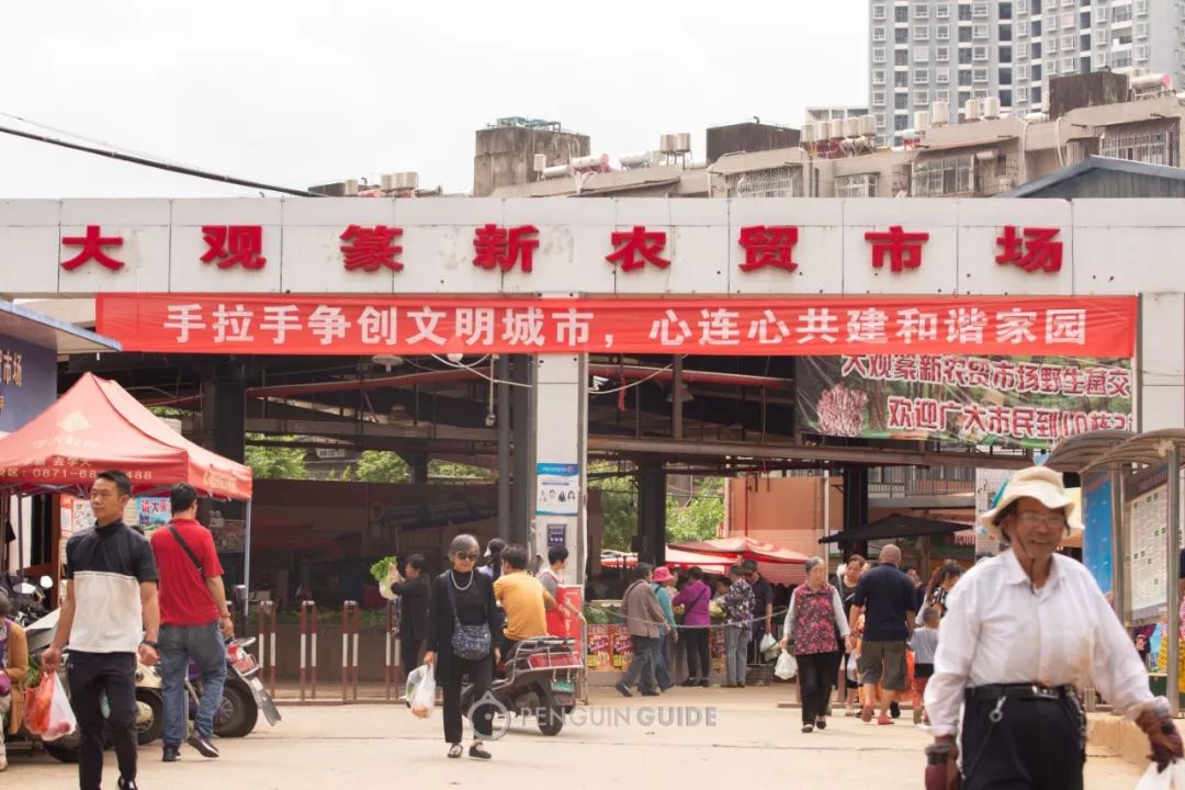 感谢顺丰快递大家放心下单,感谢物流的视频