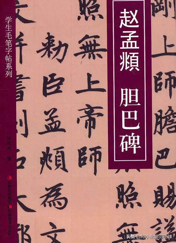 羽毛球的招式描写,羽毛球比喻式动作