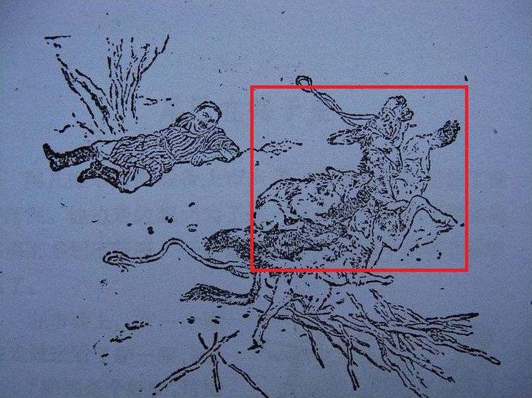 刘继卣骡马图片,刘继卣骡子图