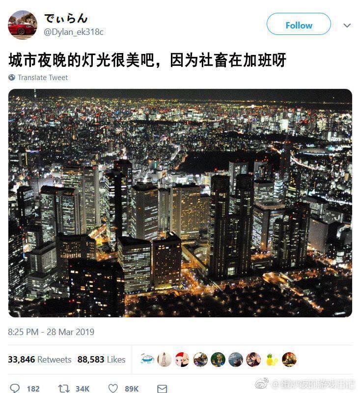 奔奔|一个职场小白的自述