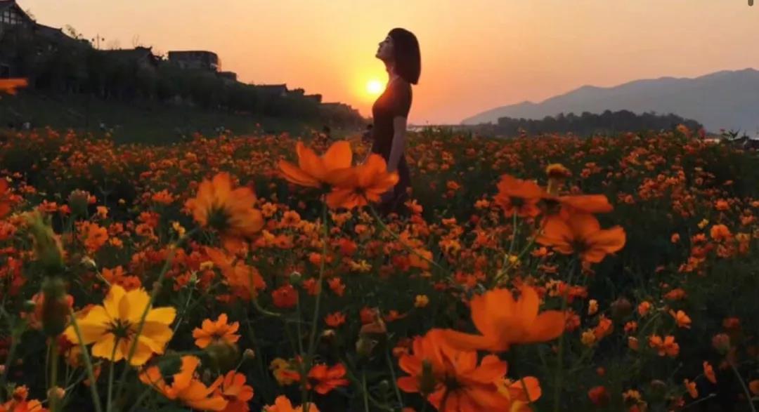 戴口罩的春节,戴口罩的冬天过去了