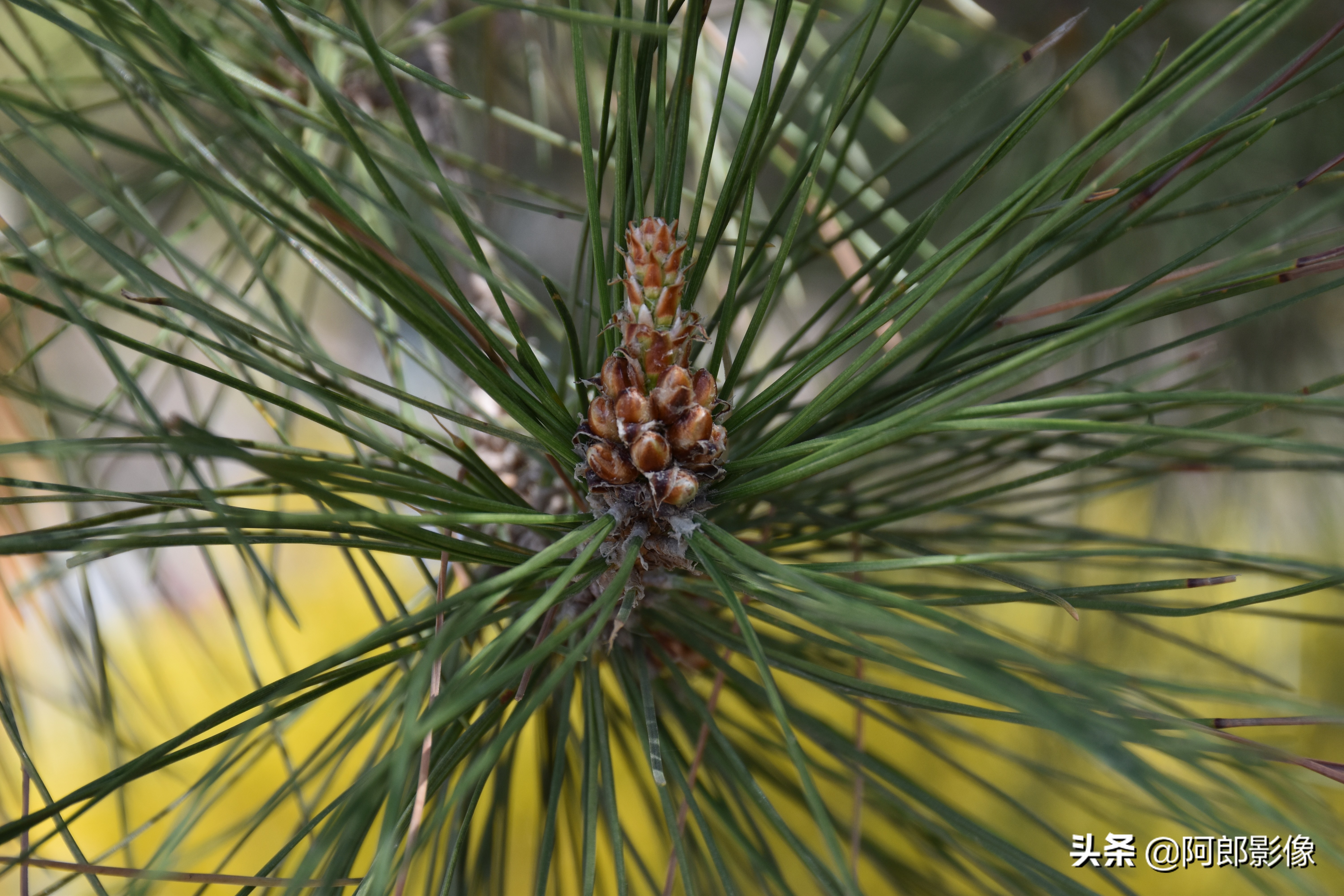 跟着阿东学摄影,跟着阿牛师傅学知识