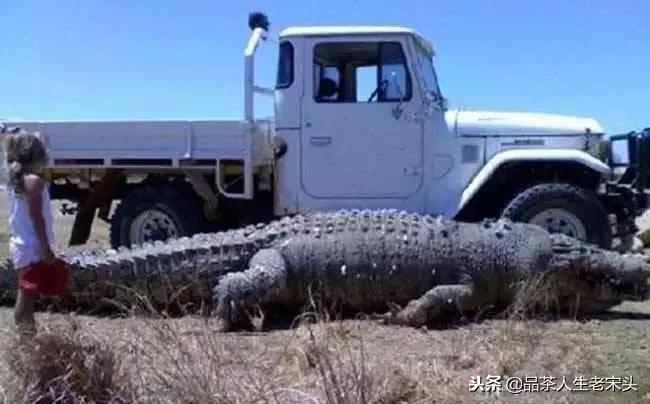 最新世界十大“怪”,最后一个太绝了!