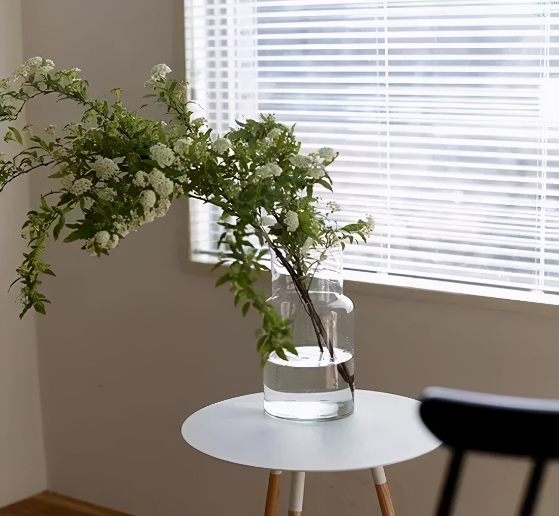 植库‖浪漫清新的小手球,为你带来氧气小森林