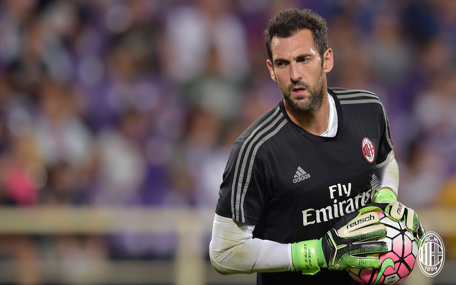 远征红黑军,板鸭篇