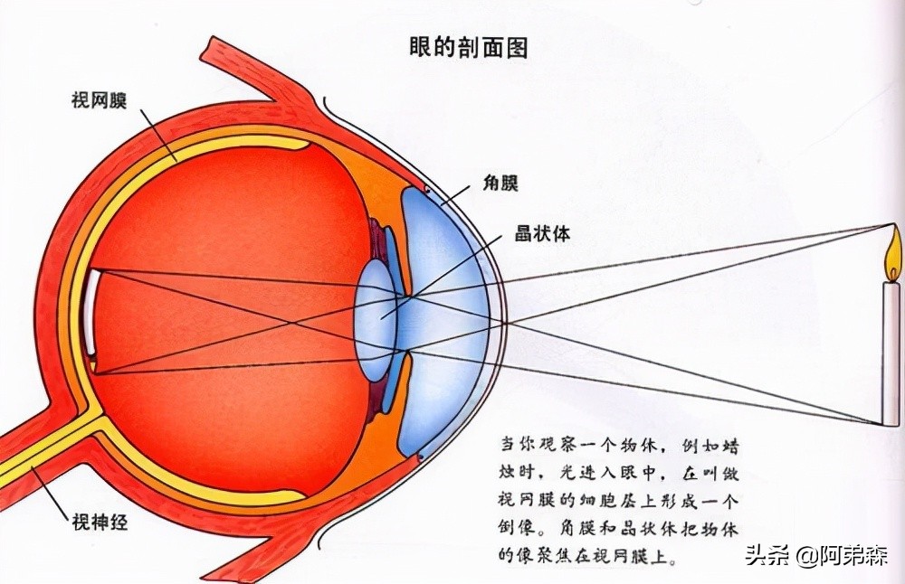 hdr对电视有什么影响,电视自动式hdr和主动式hdr哪个好