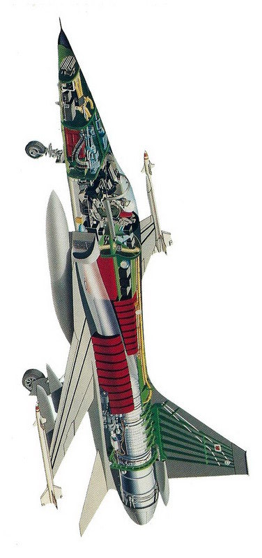 虎鲨悲剧,极富悲剧色彩的虎鲸