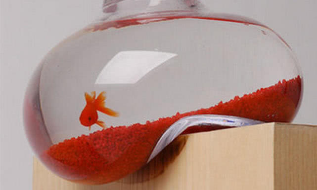 鱼缸水变红的原因和处理方法,鱼缸的水越来越清是怎么回事