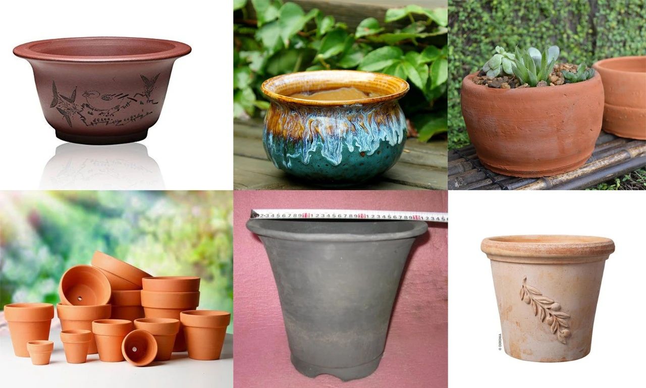 最便宜的土陶盆,透气性最好的陶盆