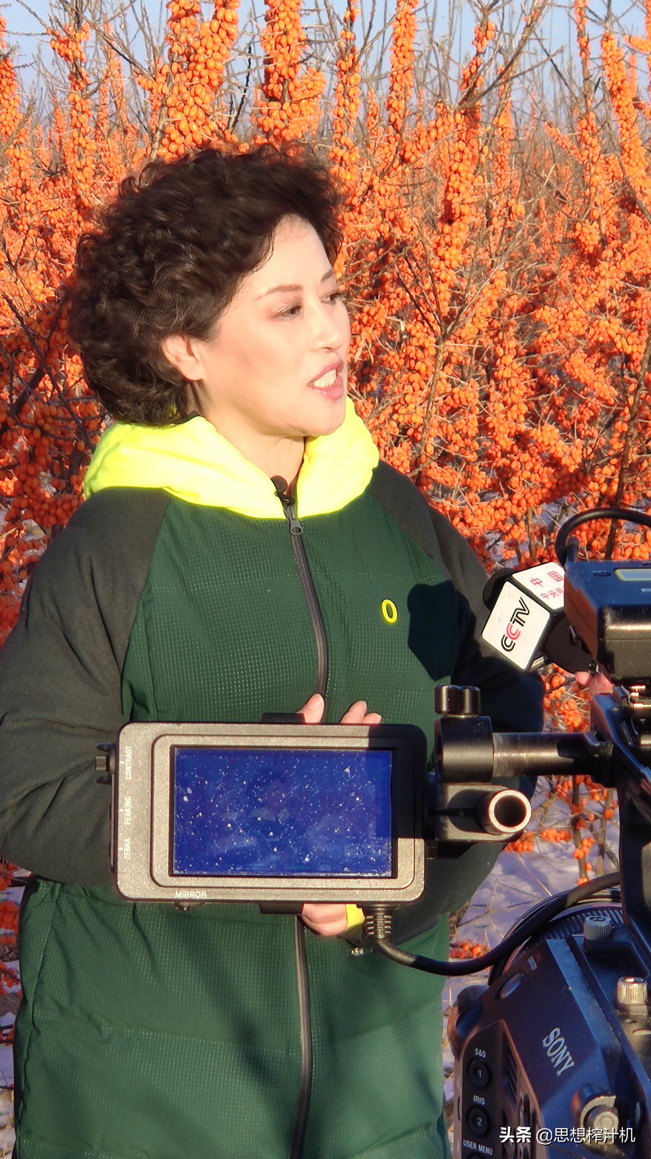 张伯礼院士重磅奖,张伯礼沙棘