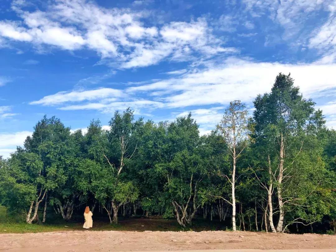 丰宁千松坝秋色,天凉好个秋拍摄