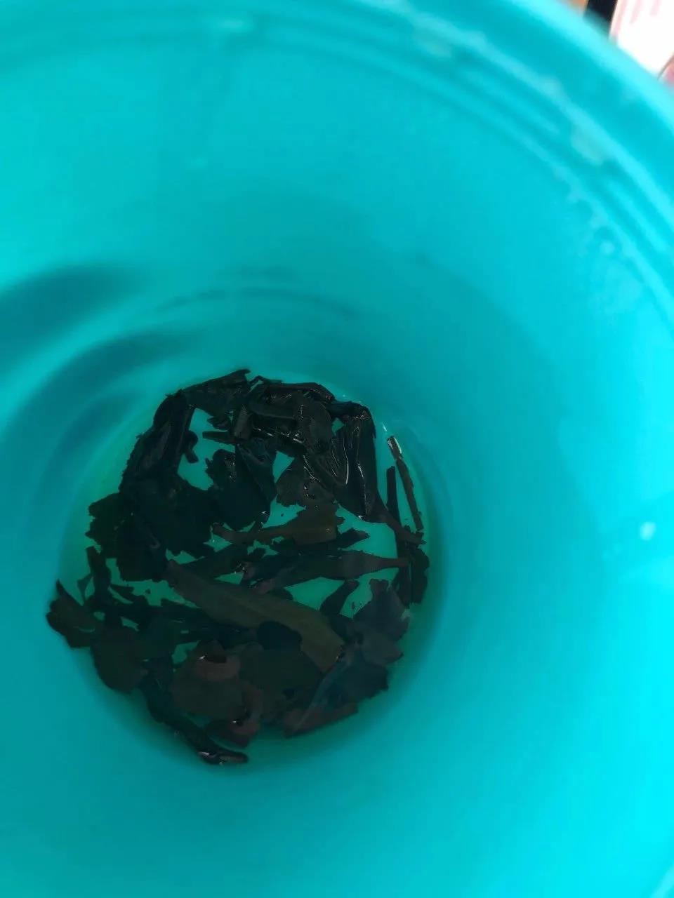 家庭养花黄叶施钾肥,家里养花盆底下垫什么好