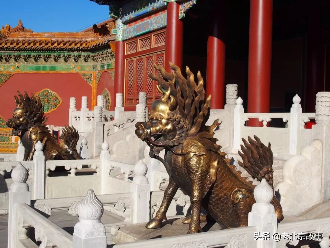 故宫成了动物园,故宫北京动物园