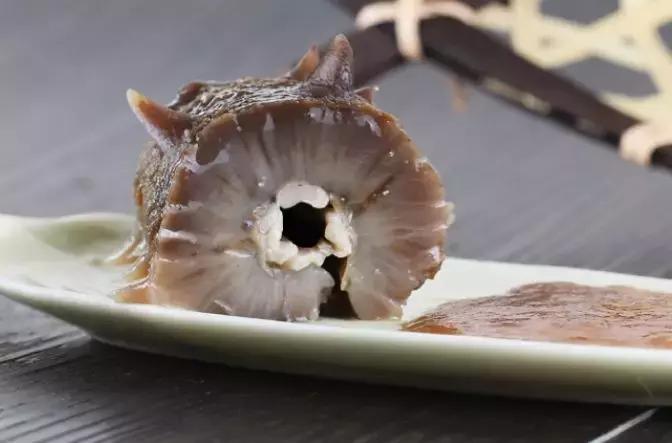 海参不能一概而论,如何选择海参才能最好