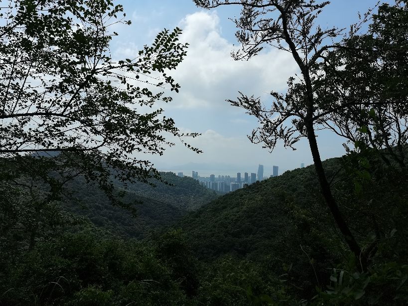 如何成为一位优秀的小说作家,如何成为一名优秀的作家