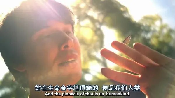 假期儿童纪录片推荐经典,青少年假期推荐纪录片