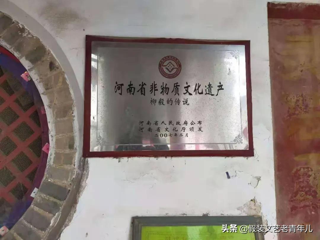 卫辉柳位村最新视频,卫辉市柳位村最新消息