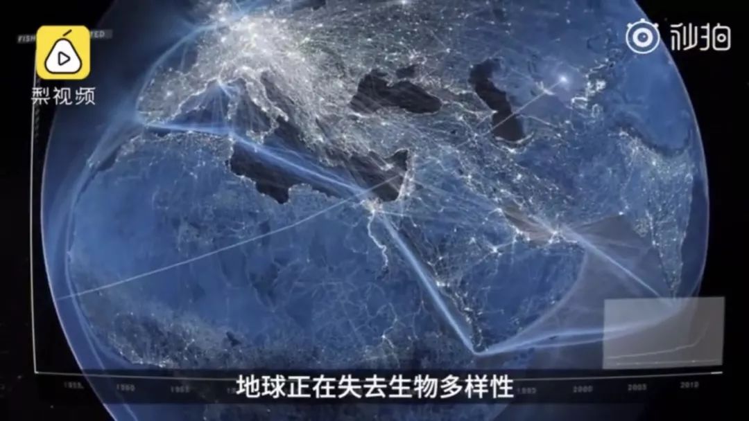 恐龙灭亡到人类诞生中间有多久,恐龙灭亡到人类诞生多少年