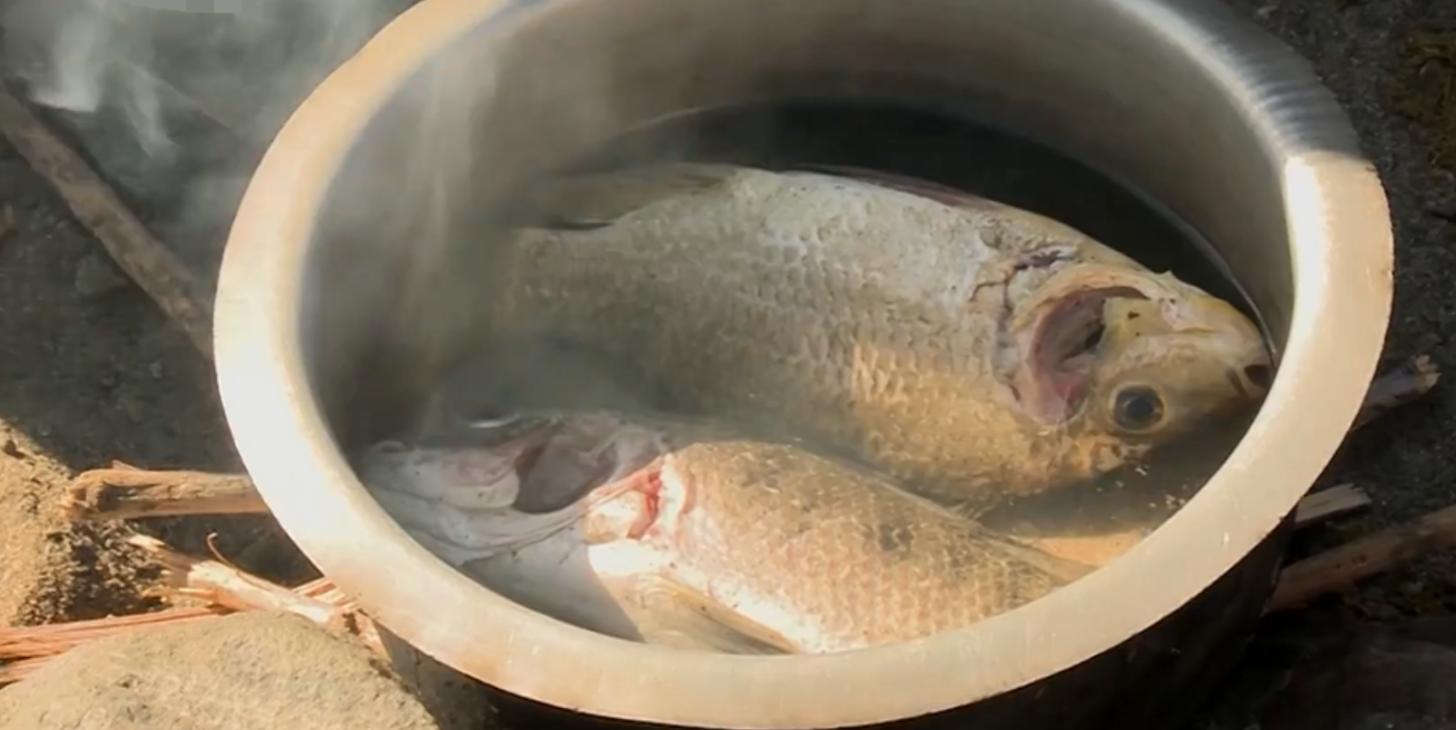 非洲埃尔莫洛部落：每天顿顿都吃鱼，没鱼时就捕杀鳄鱼充饥