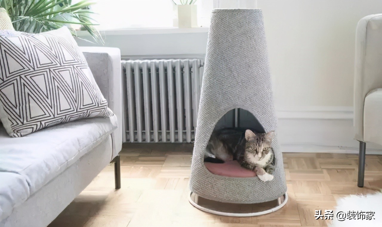 铲屎官最爱的客厅方案,铲屎官最满意的卧室装饰