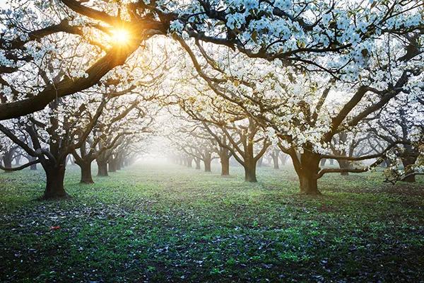 长三角城市群最佳旅游线路,长三角示范区旅游详细攻略