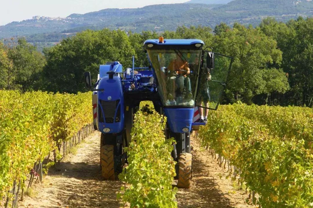 真正的红酒是怎么酿造的,喝了这么多年酒
