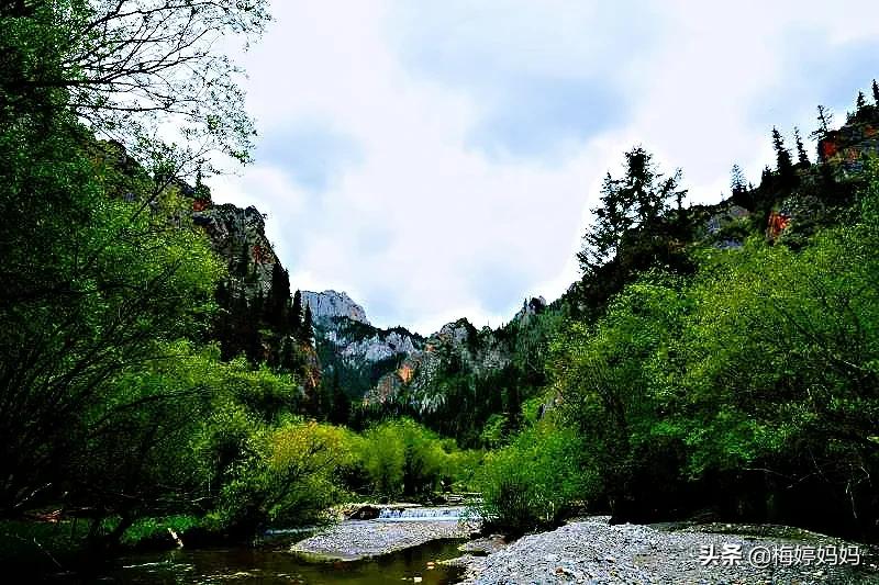 去甘南则岔石林,甘南省则岔石林