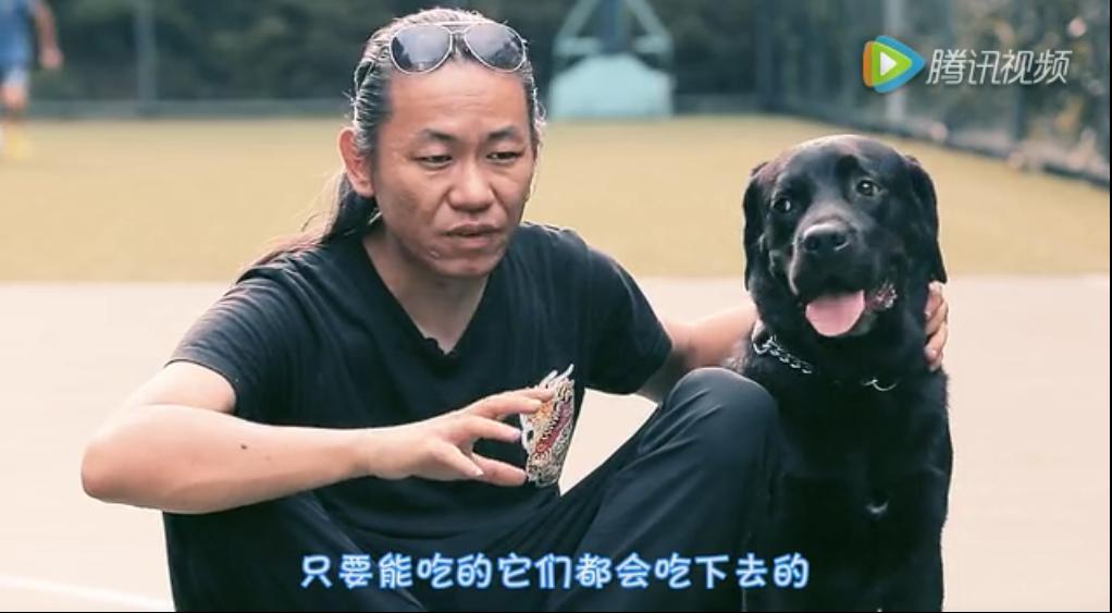 狗狗吃饭急怎么训,狗狗出门闻别的狗