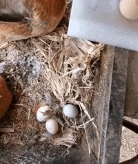 开心搞笑视频小哥哥,小哥哥搞笑视频gif