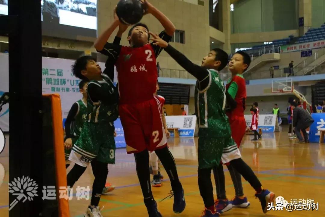 中国篮球名宿走进学校,中国篮球名宿26分