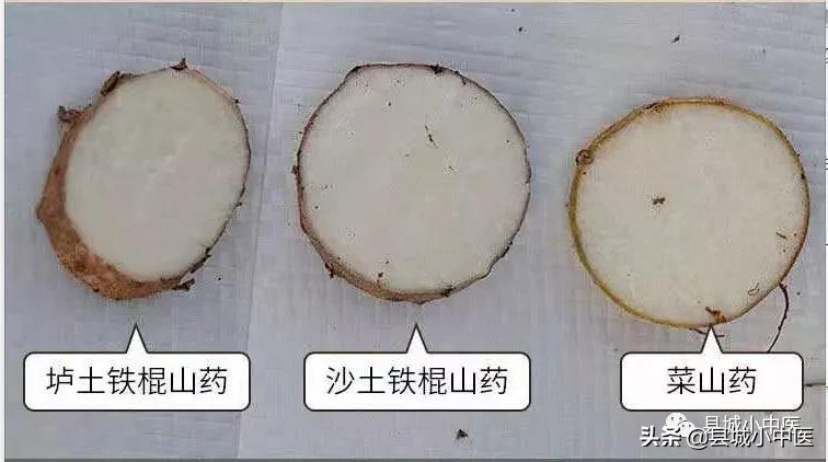 山药果子和山药的功效一样吗,鲜山药和干山药的功效