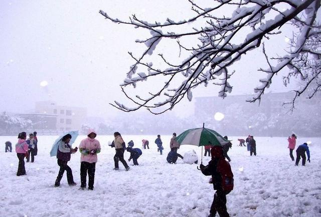 抚州哪几所中学实力较强,江西省抚州高中排名前十强